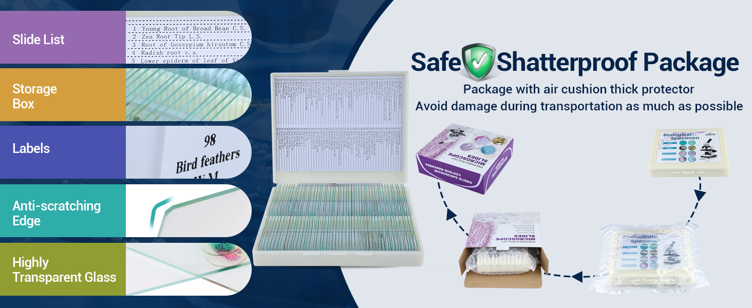 100 Prepared Microscope Slides with Specimens for Kids Adults Microbiology
