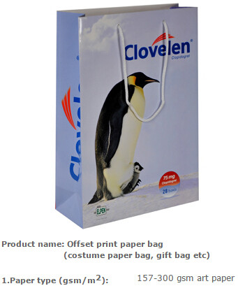 Low cost custom made design logo print handle paper carrier bag luxury paper gift bag,Luxury Paper Package Packaging Gif
