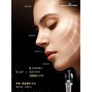 China Anti Aging 5mhz Fractional Rf Microneedle Machine Wrinkles Removal wholesale