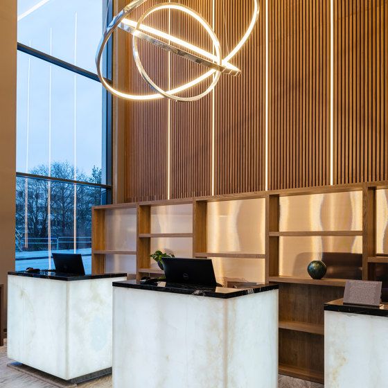 Multiscene Acoustic Timber Slats Feature Wall Flameproof Practical