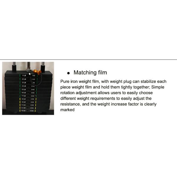 Professional Matrix Strength Training Equipment Gym Biceps Curl Machine
