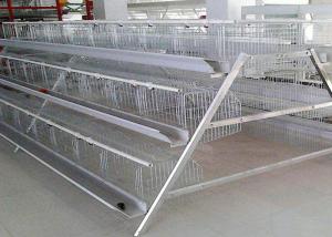 Durable Layer Poultry Farming Equipment High Rearing Efficiency Easy Operation