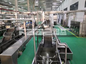 China Electric Garlic Slices Drying Machine Belt Conveyor Dehydrator Garlic Drying Equipment Garlic Ginger Dryer wholesale