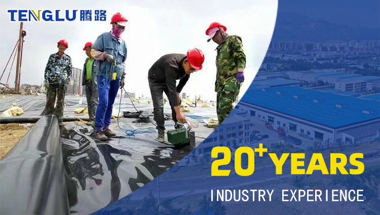 HDPE Geomembrane Overlap Hot Wedge Welder Welding Machine Automatic Sealing Machine