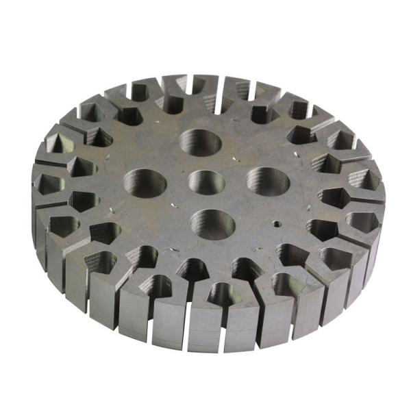 Custom Bulk Production Stamping Part Loose Layer Pin Rator Stator for Revit