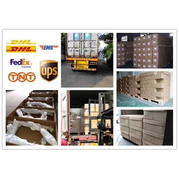 Universal Medical Lifting Devices , Hospital Lifting Equipment 180kgs With Brakes