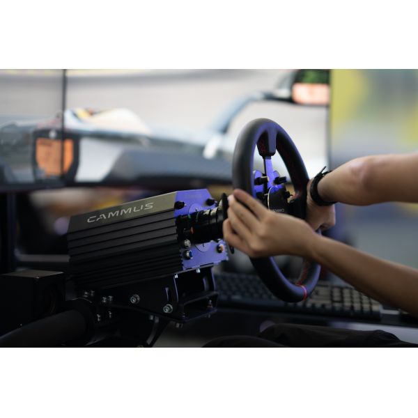 15Nm PC F1 Simulator With Realistic Force Feedback