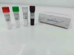 China Real Time Monkeypox PCR Test Kit With Positive / Negative Control wholesale