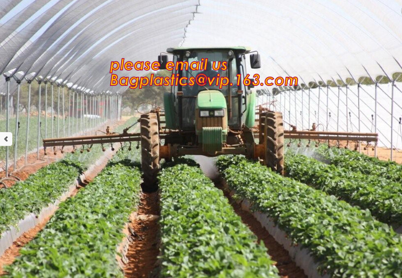 agriculture anti insect net on roll insect proof mesh for greenhouse,Greenhouse Anti Insect Netting /Agriculture Netting