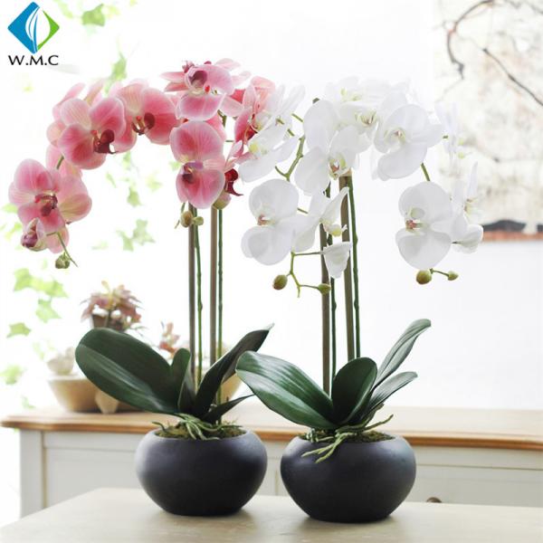 Quality 63cm Height Artificial Potted Plants , Fake Phalaenopsis Orchid 5-10 Years Life Time for sale