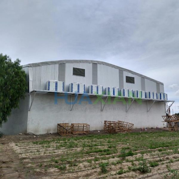 -40 Meat/Fish/Poultry Cold Room for Blast Freezer, Germany Compressor Walk in Freezer