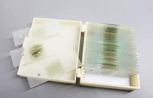 China Shockproof 24pcs Rock Microscope Slides For Educational Lab wholesale