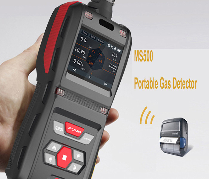 Portable Ammonia Gas Detector NO2 HCN CLO2 O3 Audible Visual Vibrating Alarms
