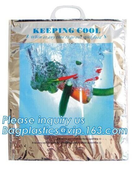 Custom Packing Aluminum Foil Zip-Lock Grocery Handle Thermal Insulation Cooler Bag For Outdoors,Promotional Insulated La