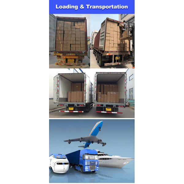 Stainless Steel ABS Plastic 40KG 30KG High Accuracy Digital Electronic Supermarket Household Kitchen Food Weighing Counting Scale