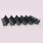 Natural Volume Lash Extensions , Steady Curl Mink Eyelash Extensions