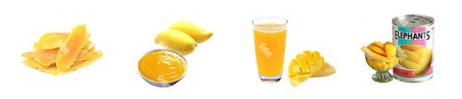 Automatic 10T/H Mango Processing Plant 440V Puree Processing Line