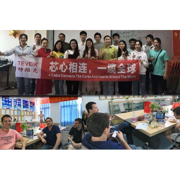 Nihon Kohden EKG Cables for Cardiofax, 40Pin 12 channels,NK ECG cable