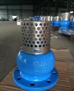 Customized Service WCB Cast Iron Flanged End Foot Valve for Durable and Fluid Control