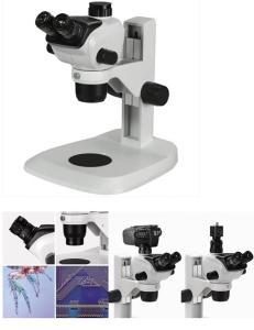 China Up - Down Illumination Stereo Zoom Binocular Microscope / Trinocular Stereo Microscope wholesale