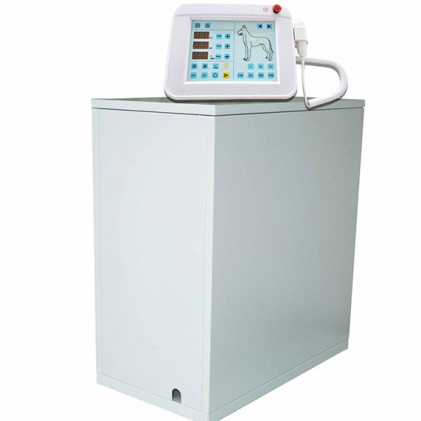 Best Sell Direct X-ray Machine Veterinary X-ray Machine