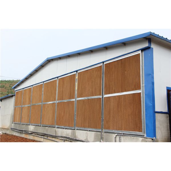 Steel Wire Mesh Farm Rabbit Cage Hot Dipped Galvanized Surface 12 Mums Capacity
