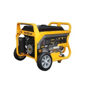 7HP Portable Small Gasoline Engine Generator 2500 Watts 3000 Watts OEM