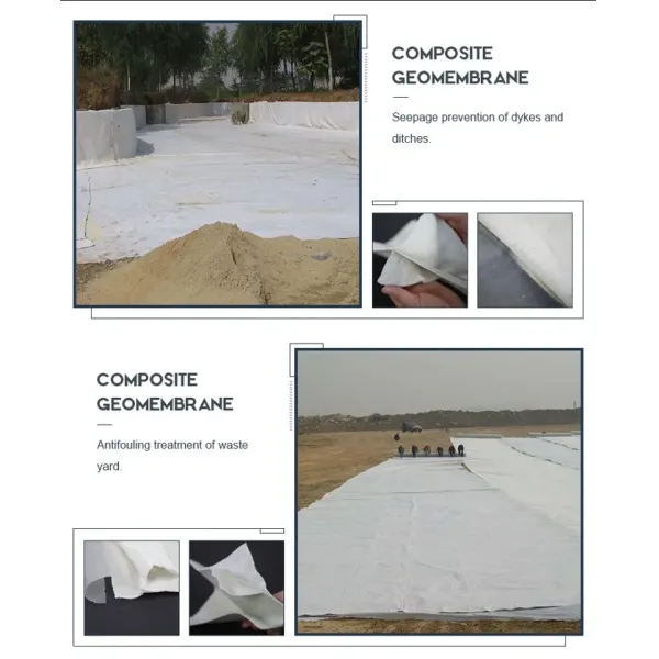 Two Layers and One Film Reservoir Seepage Control Composite Geomembrane in Landfill Tailings Treatment