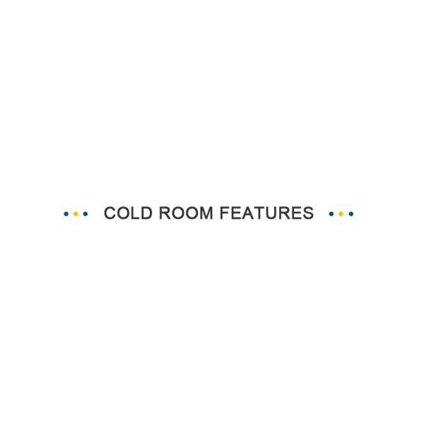 Quick Freezing Sliding Door Cold Room Easy Installation Customized Size