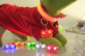 China PET LED flashing collar necklace Buckle Safety Night Light bone dog ID tag Pendant wholesale