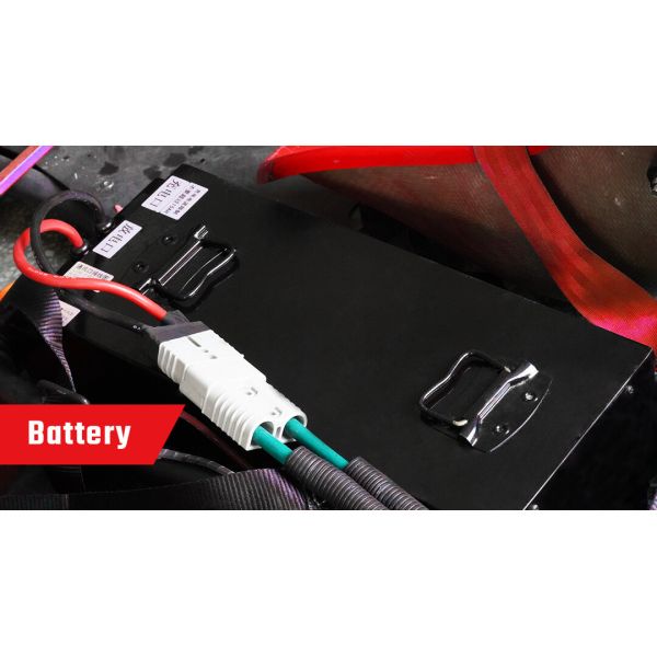 Two Motor 14Nm High Performance Go Karts 3H Driving S Version