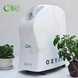 5L medical use 93% CE ISO factory price oxygen concentrator