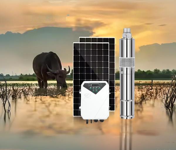 Optimum Input Voltage 60V-90V DC Solar Water Pump with MPPT Controller Type and