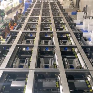 China 360° Rotational Scanning Plum Application 8 Lanes Industrial Automation System wholesale