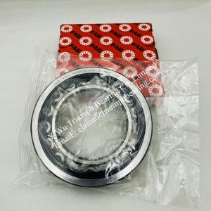 FAG Cylindrical Roller Bearings NU218-E-XL-TVP2