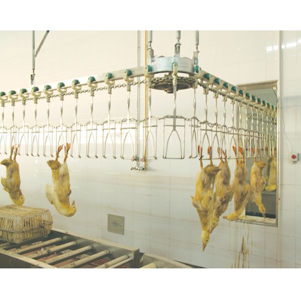 Halal Poultry Slaughter Equipment Chicken Poultry Meat Processing Machine
