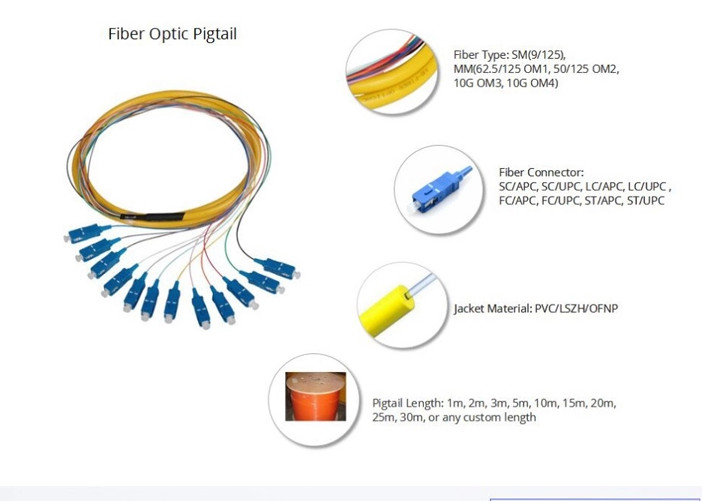 SC UPC 12 Cores G652D G657A1 Patch Cord Pigtail