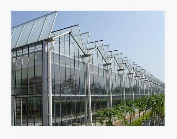 Quality Rectangular Glass Greenhouse Transparent with UV Protection Water Resistance Low Maintenance Wind Resistant for sale