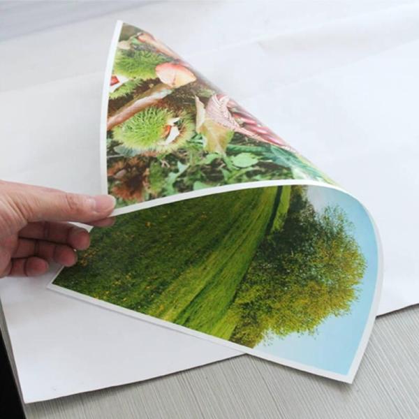 Quality A3 Waterproof Glossy RC Photo Paper Inkjet Printing Film OEM for sale