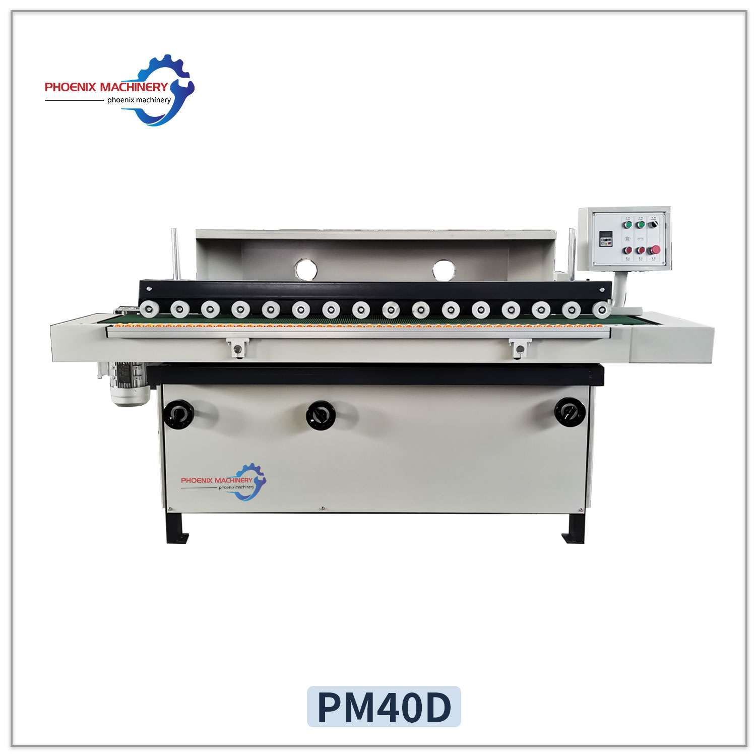 PM40D Automatic Single Side Polishing Machine Furniture Processing 5-100mm Thickness