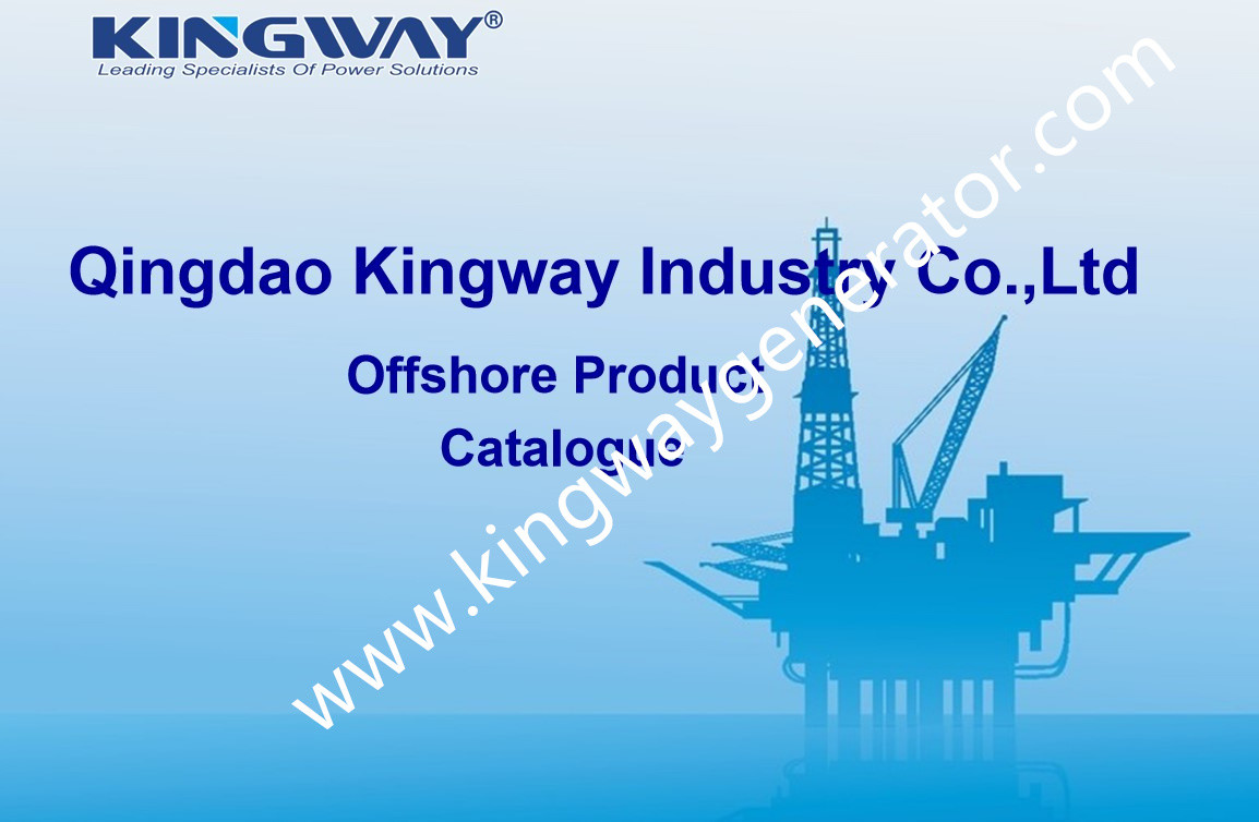 DNV Standards LIoyd's Register Certified Offshore Container Lifting Frame For office working use