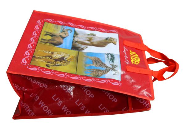 Quality 140g Swing Shining PP Zipper Shopping Bag With Nylon Tape Handle, PVC Binding for sale