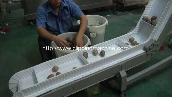 Semi-Automatic-Feeding-Net-Bag-Clipping-Machine
