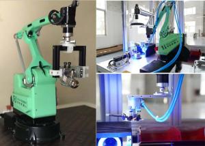 China Mechanical 4 Axis Robotic Palletizer No Control Cabinet wholesale