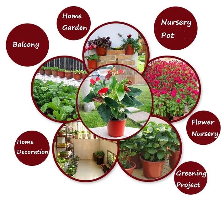 HOTICULTURAL MULCH FILM,AGRICULTURAL PE FILM,MARKET GARDENERS CLOCHE FILM,PE FILM FOR CORN,PLASTIC FILM COVER,TOMATO COV