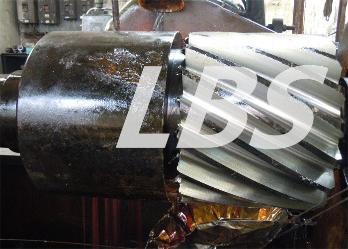Large Diameter Nylon Plastic Injection Molded Spur Worm Gear