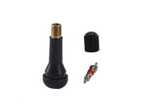 China Passenger Car Snap In Tire Valve Stem TR414 Brass Or Aluminum Material wholesale
