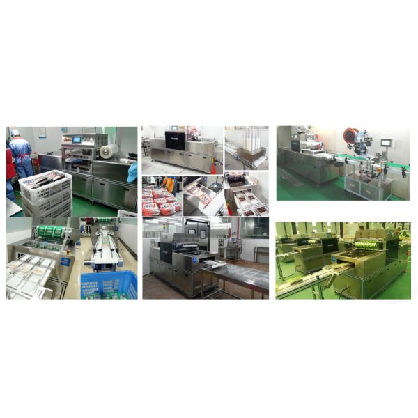 Vertical Vacuum Packaging Equipment Stainless Steel Map Tray Sealer 304 SS