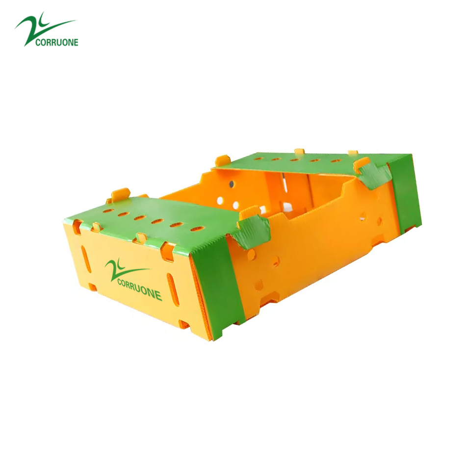 Correx Corn Vegetable Corrugated Boxes Corrugated Plastic Shipping Boxes