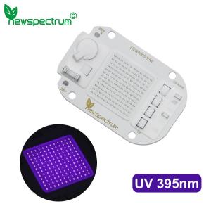 China 50w High Power UV LED Module AC 220V No Welding For UV Glue Curing wholesale